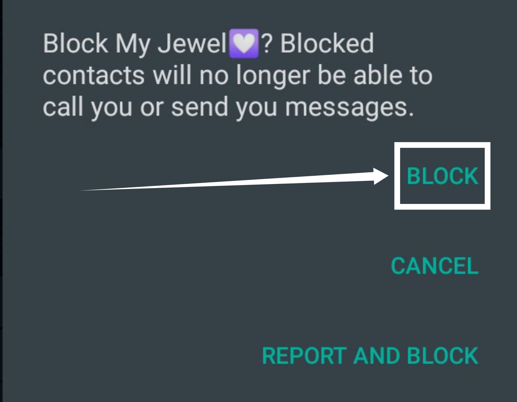 Block and unblock whatsapp contact