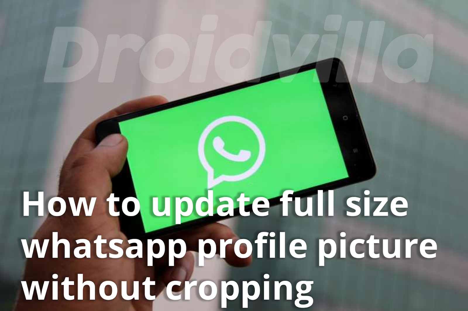 Full size Whatsapp profile picture