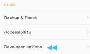 Developer Options