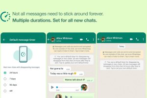 Disappearing WhatsApp Message