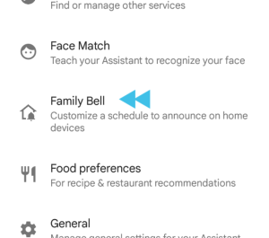 Google Assistant Checklist 