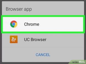 Default Web Browser