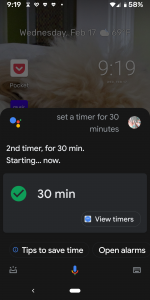 Google Assistant Timers