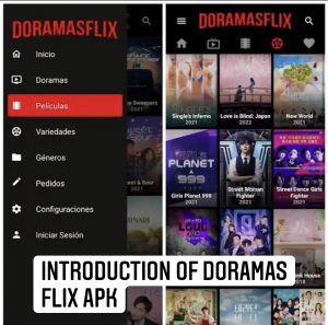 Introduction of Doramas Flix Apk
