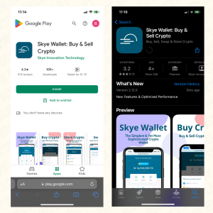 skye wallet for android and iOS
